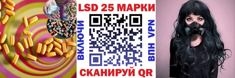 наркотики  Людиново  ЛСД экстази кислота 
