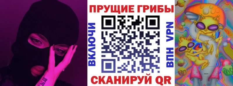 Псилоцибиновые грибы Psilocybine cubensis  закладка  Людиново 