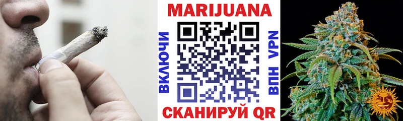 Бошки Шишки планчик  Людиново 